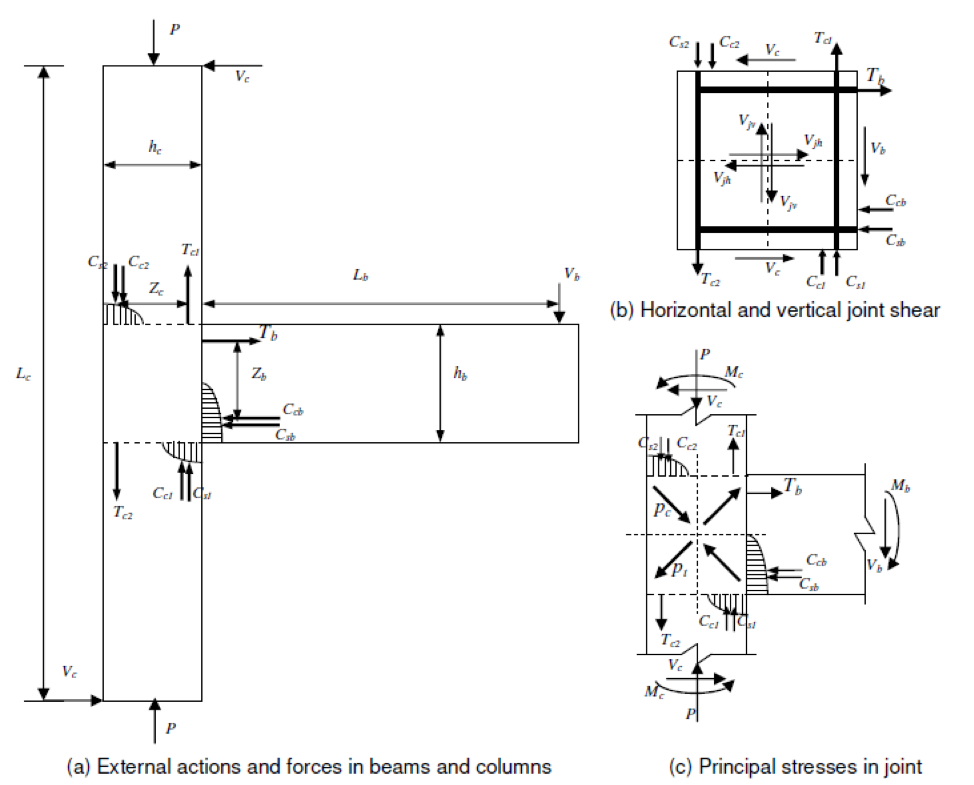 Exterior joint under actions and forces