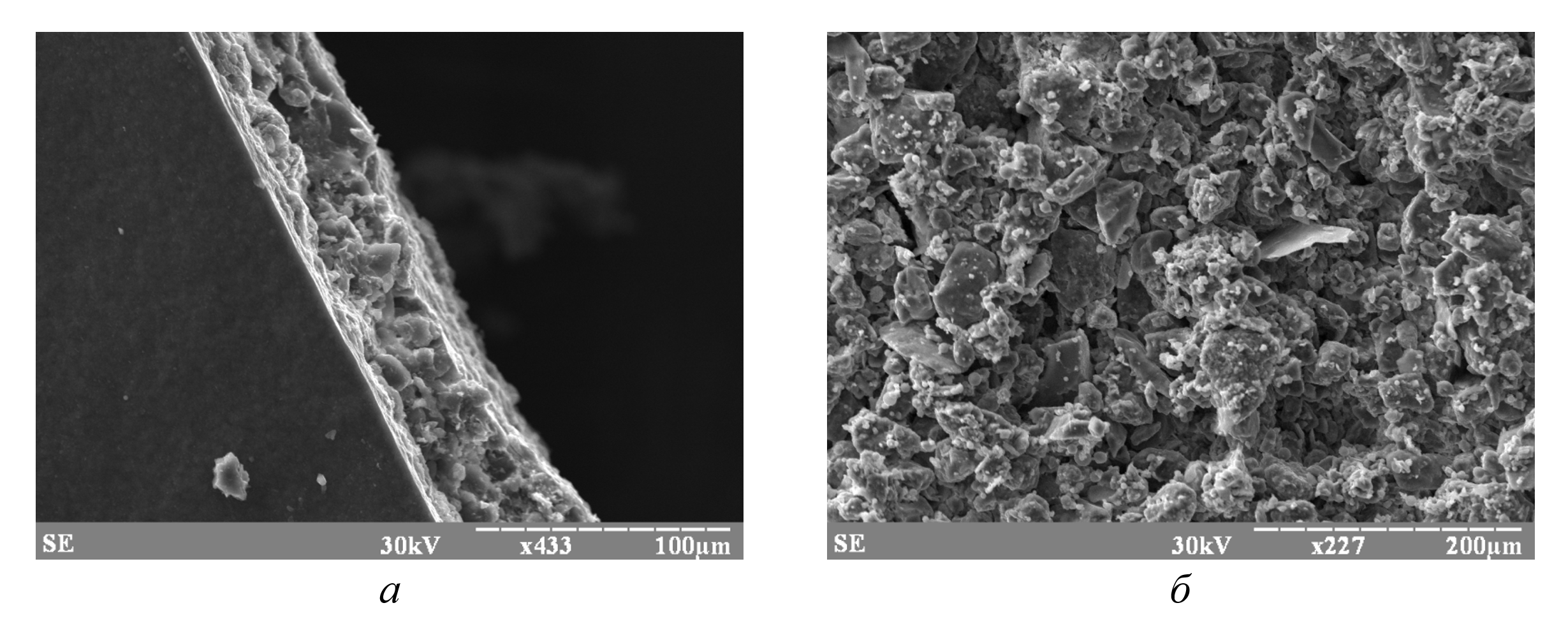 Фотографии поверхностей сколов керамического изделия с внешней и внутренней части: а - внешняя часть керамического черепка; б - внутренняя часть керамического черепка