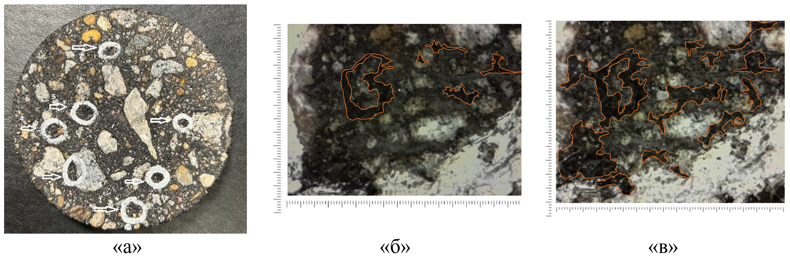 Морфология структуры асфальтобетона:а – общая структура образца; б – исходное состояние; в – после 5 циклов замораживания и оттаивания