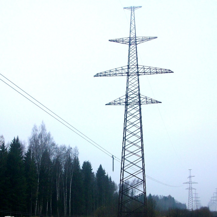 Обрыв и падение гирлянды изоляторов на два провода фазы двухцепной ВЛ 330 кВ «Гатчинская – Лужская» 